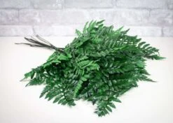 Greenery Sample Kit -Flowers Sales 2024 greenery sample kit 748655