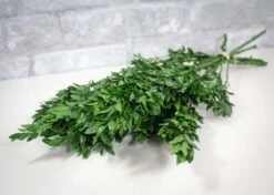 Greenery Sample Kit -Flowers Sales 2024 greenery sample kit 868399