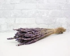 Greenery Sample Kit -Flowers Sales 2024 greenery sample kit 928439