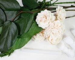 Hacienda Rose Corsage (Set Of 3) -Flowers Sales 2024 hacienda rose corsage craft kit set of 3 279766