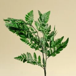 Leather Leaf - Green