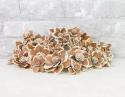 Mila Variety Pack -Flowers Sales 2024 mila variety pack 888443