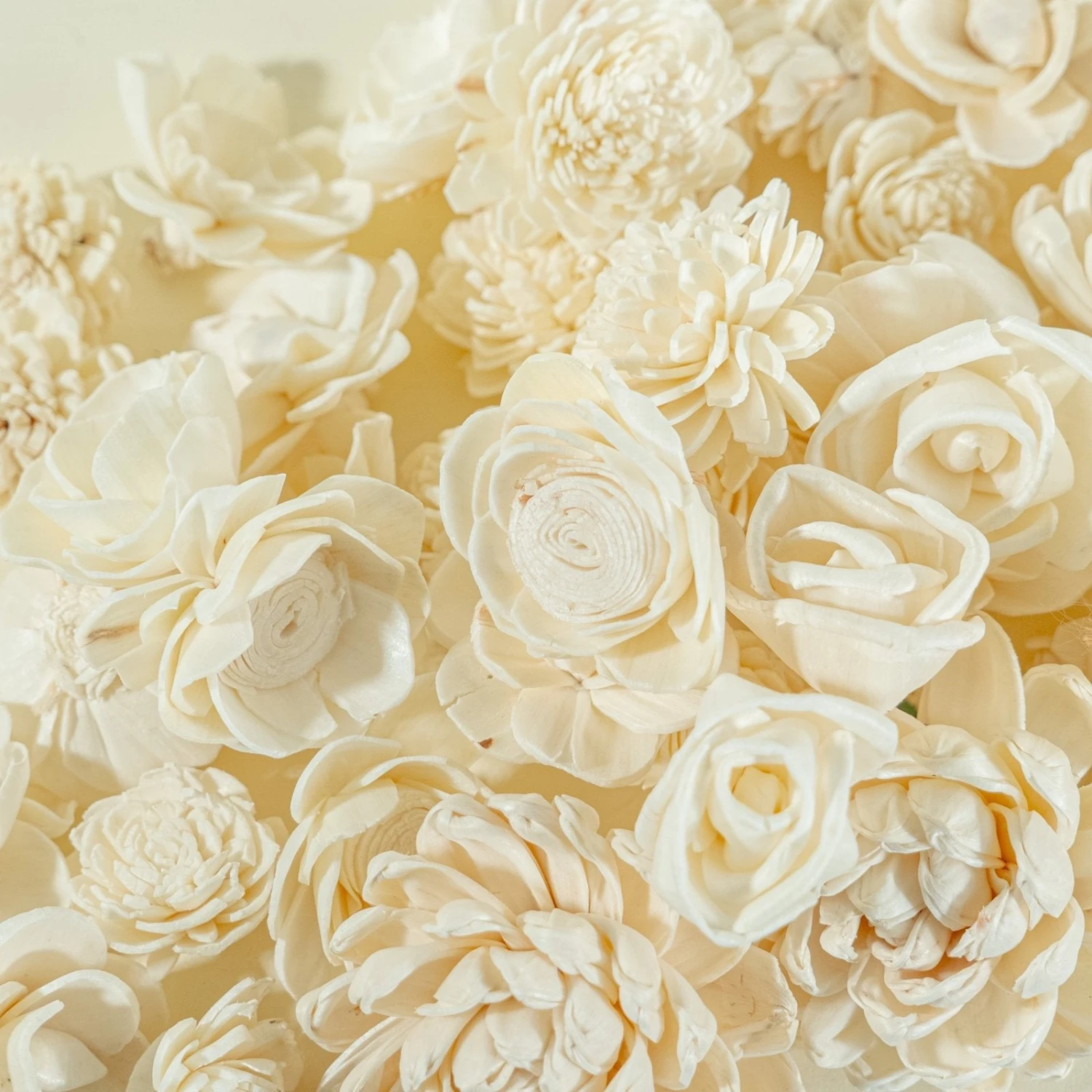 Mini Flower Assortment (50 Flowers) - No Bark 6 Mini Flower Assortment (50 Flowers) - No Bark - Image 4