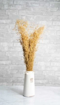 Munni Grass -Flowers Sales 2024 munni grass 755213