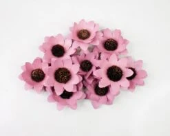 Mystery Birch Wood Flowers (10 Pack) 26 Mystery Birch Wood Flowers (10 Pack) -Flowers Sales 2024 mystery birch wood flowers 10 pack 244781