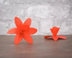 Mystery Birch Wood Flowers (10 Pack) 38 Mystery Birch Wood Flowers (10 Pack) -Flowers Sales 2024 mystery birch wood flowers 10 pack 883750