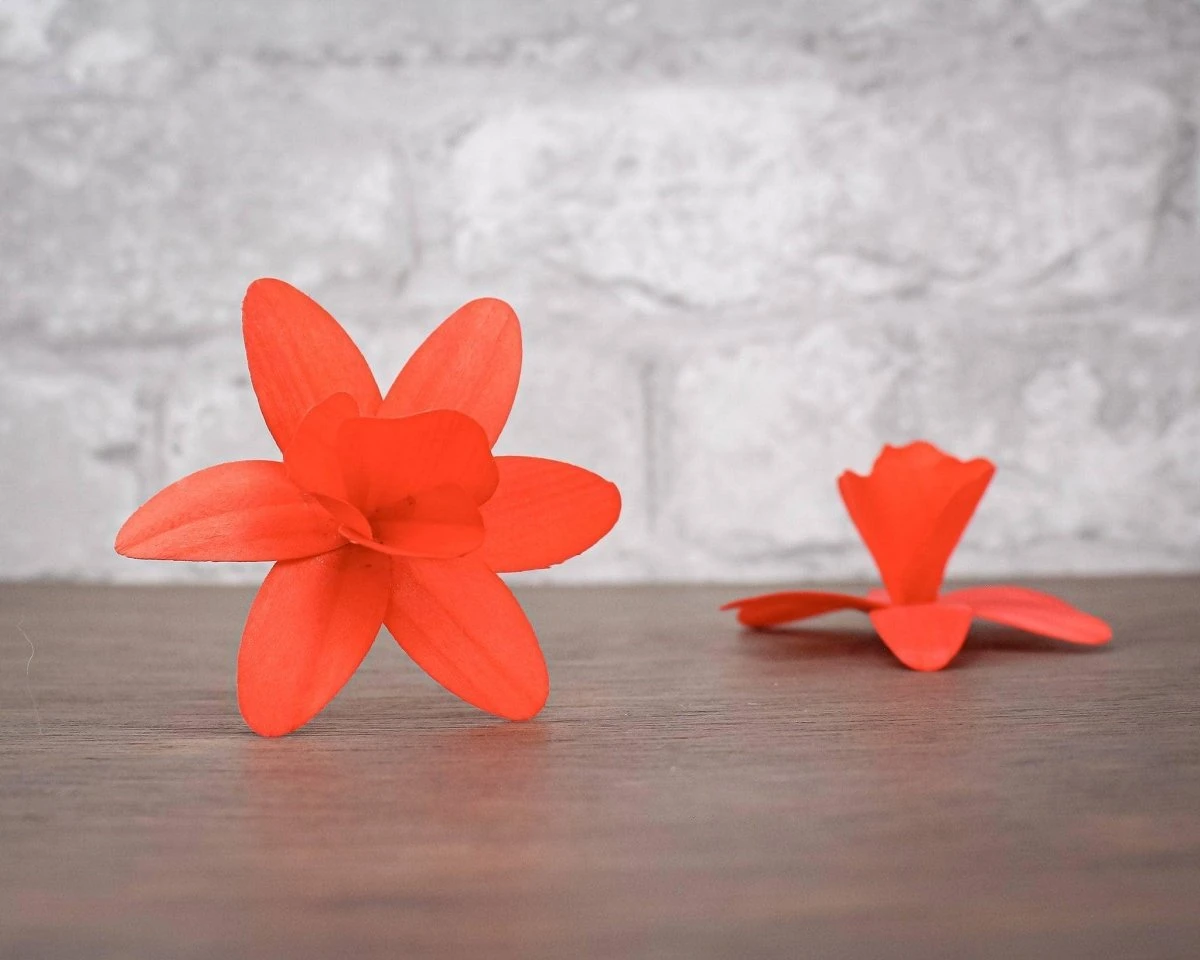 Mystery Birch Wood Flowers (10 Pack) 19 Mystery Birch Wood Flowers (10 Pack) - Image 17