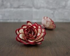 Mystery Wood Flower 10 Pack 15 Mystery Wood Flower 10 Pack -Flowers Sales 2024 mystery wood flower 10 pack 218087