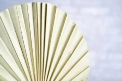 Palm Round Ex-Large (5 Pack) -Flowers Sales 2024 palm round ex large 5 pack 350881