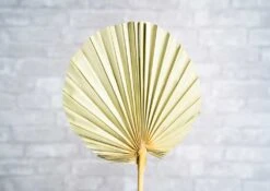 Palm Round Ex-Large (5 Pack)