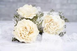 Perfect Simplicity Mother's Corsage (Set Of 2) -Flowers Sales 2024 perfect simplicity mothers corsage set of 3 669224