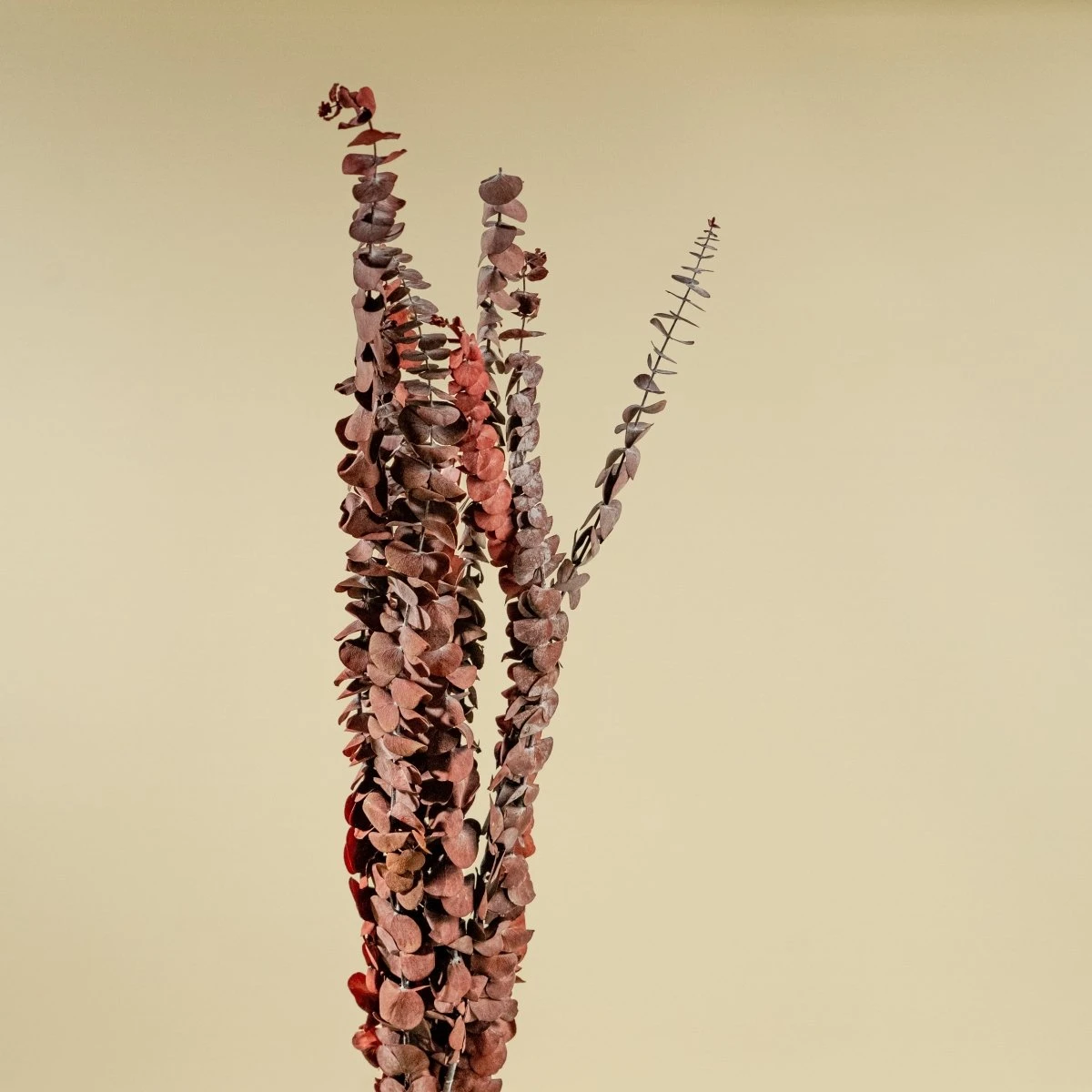 Satin Washed Eucalyptus - Red 7 Satin Washed Eucalyptus - Red - Image 5