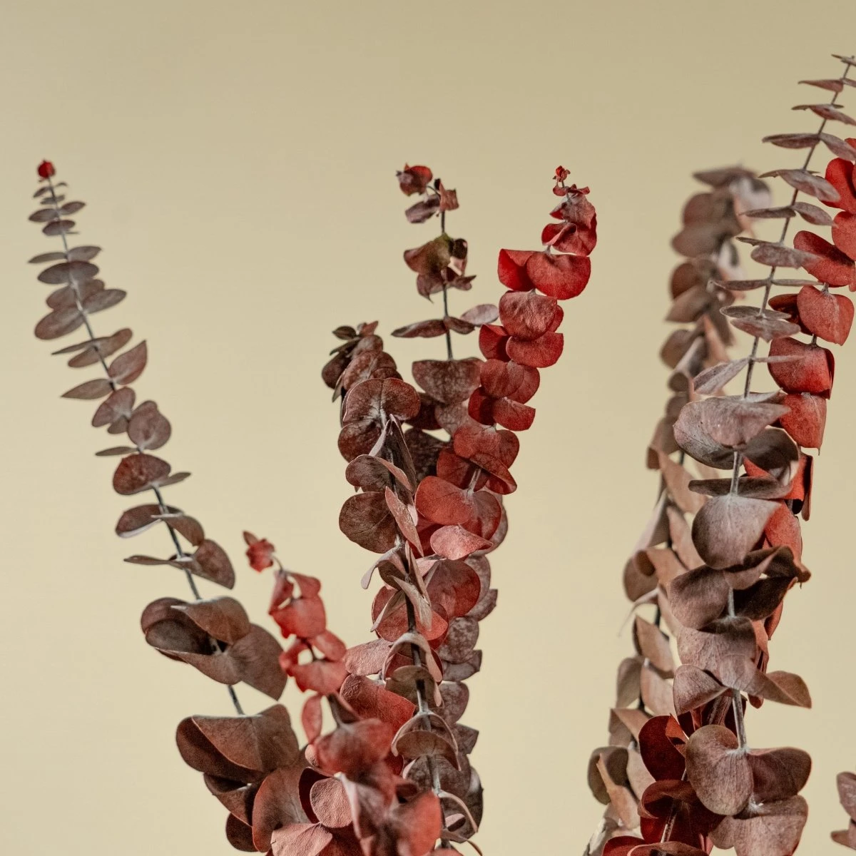 Satin Washed Eucalyptus - Red 5 Satin Washed Eucalyptus - Red - Image 3