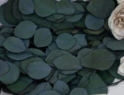 Silver Bridal Bouquet -Flowers Sales 2024 silver bridal bouquet kit 760231