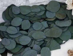 Silver Bridesmaid Bouquet -Flowers Sales 2024 silver bridesmaid bouquet kit 526282