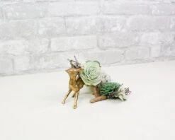 Silver Sage Boutonniere (Set Of 3)* 18 Silver Sage Boutonniere (Set Of 3)* -Flowers Sales 2024 silver sage boutonniere set of 3 849609